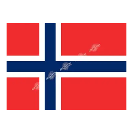 Norge flag 90x150cm