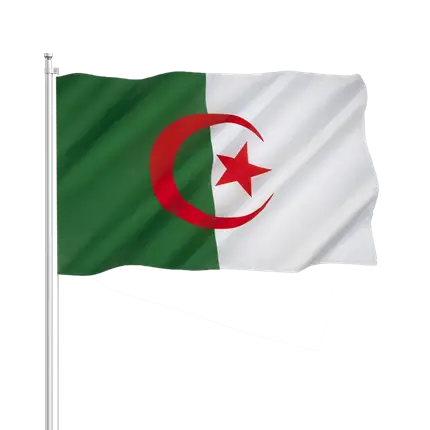 Algeriet flag 30x45cm med pind
