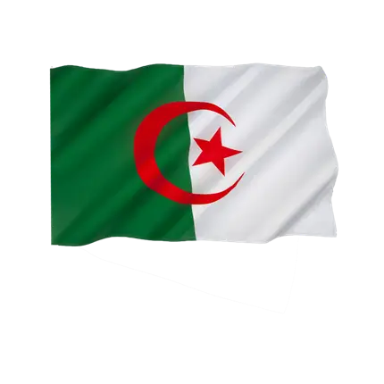 Algeriet flag 60x90cm