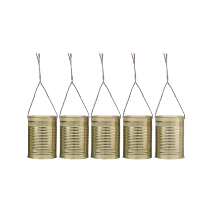 Sæt med 5 dekorative æsker i guld