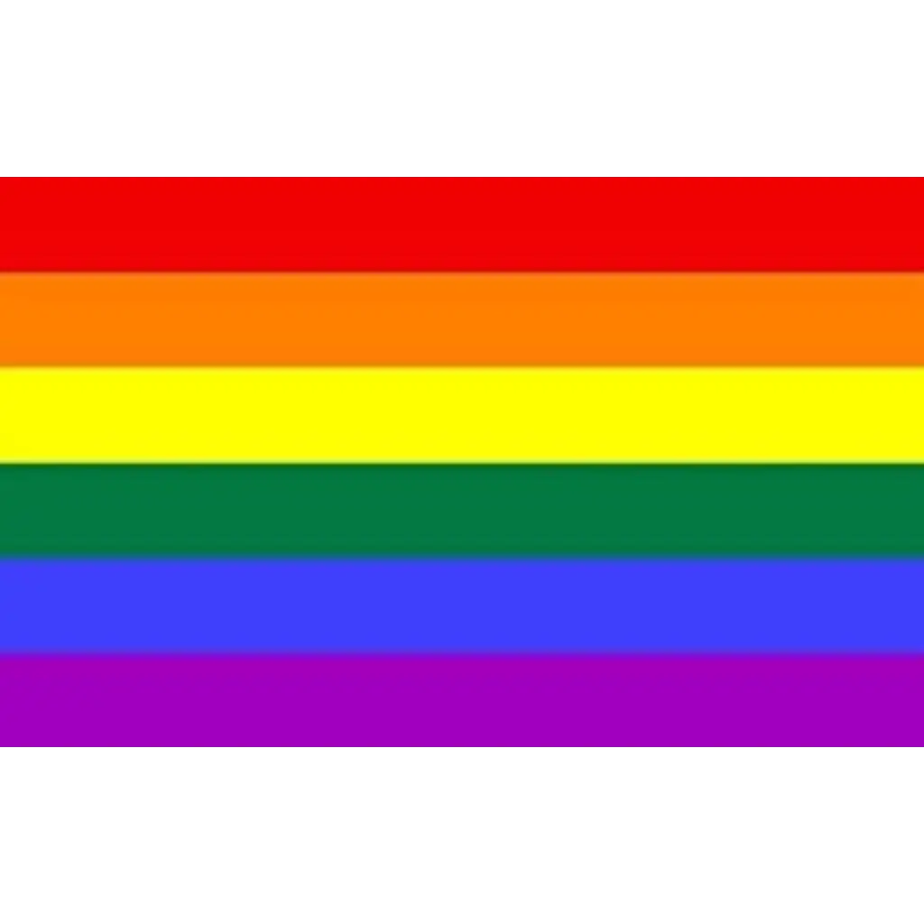 LGBT+ regnbueflag 90x150cm