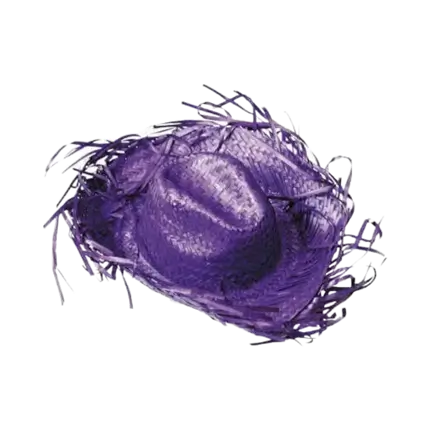 Caribisk cowboyhat lilla