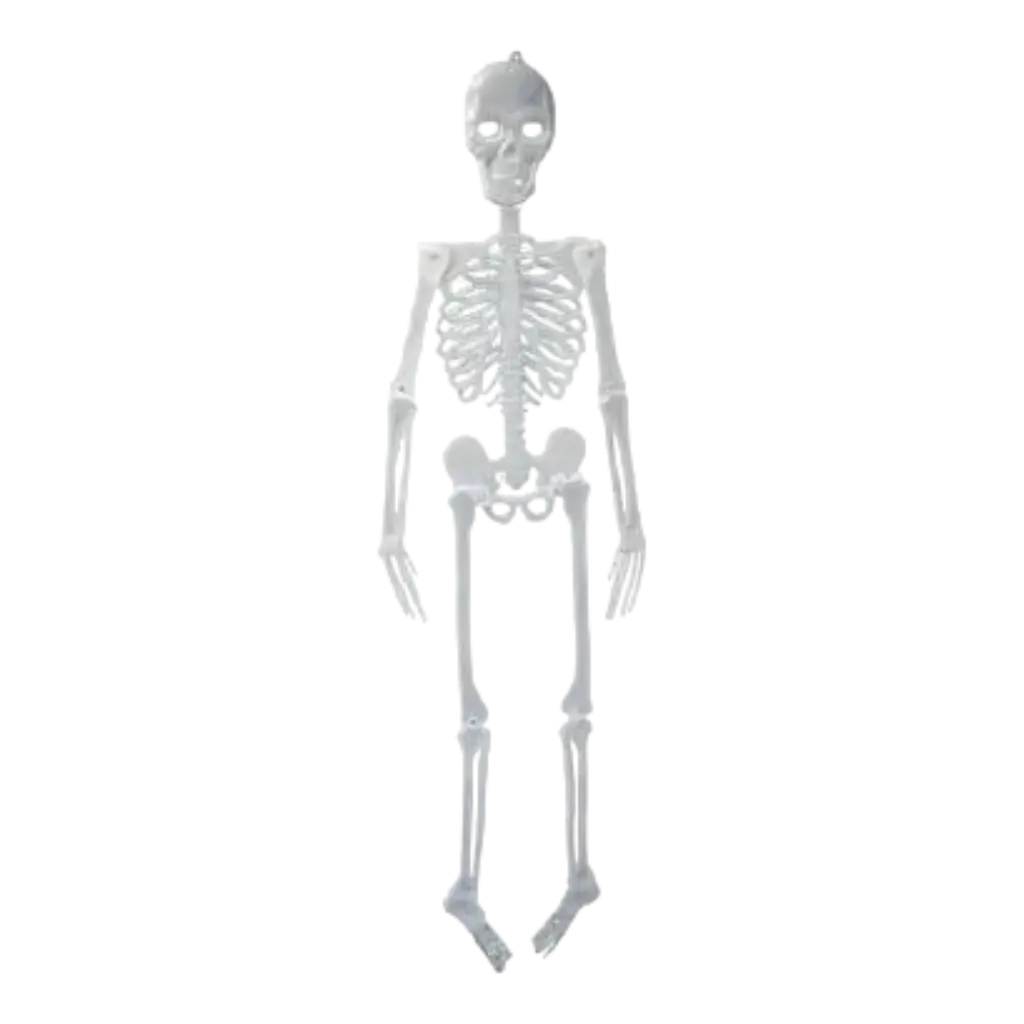 Kæmpe fosforescerende skelet - 150cm