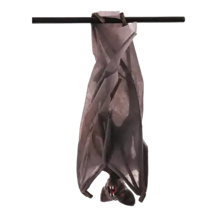 FLAGERMUS MED FOLDEDE VINGER - 52 X 24 X 15 CM