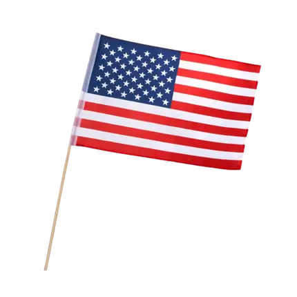 Amerikansk flag med stav (30x45cm)