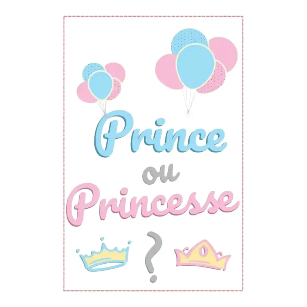 Vimpelguirlande af papir "Prins eller prinsesse? - 5m