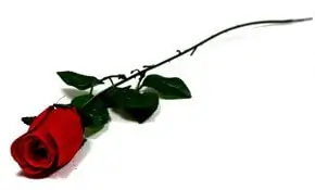 Kunstig blomst type Rose med stilk