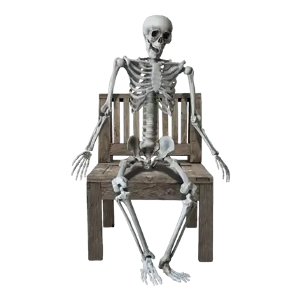 KÆMPE SKELET - MENNESKESTØRRELSE - 160CM