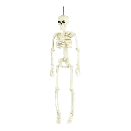 SKELETOPHÆNG 40CM
