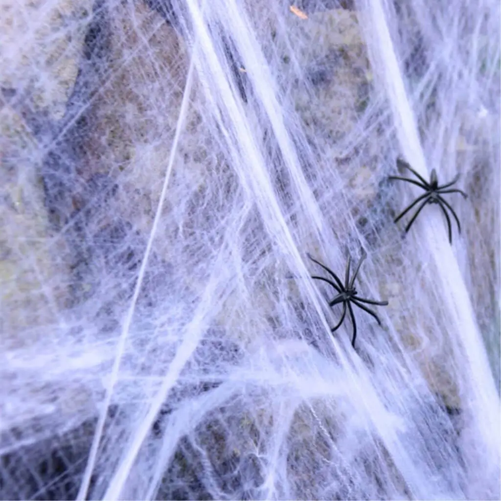 Edderkoppespind 300g og 4 edderkopper