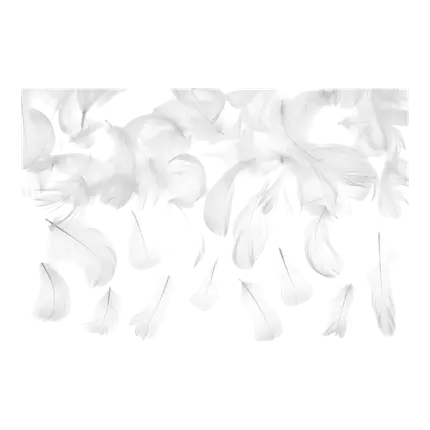 Dekorativ fjer - Hvid - 3g
