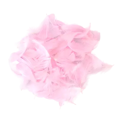Dekorativ fjer - Lyserød - 3g