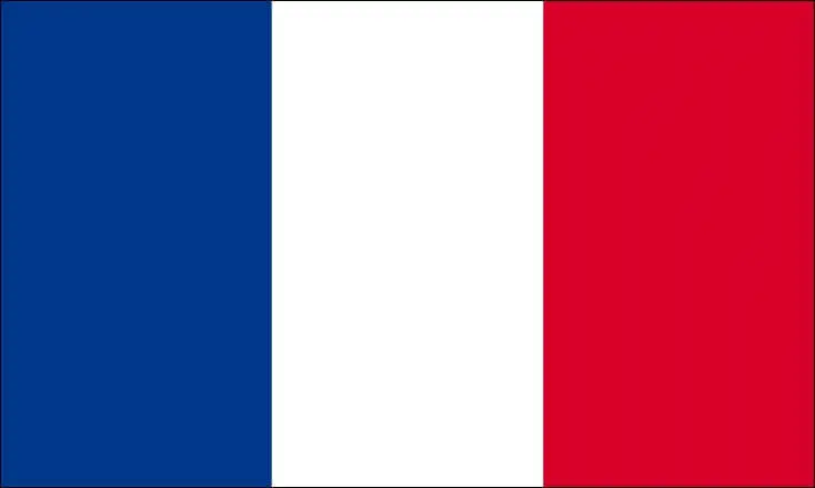 Frankrigs Trikolore-flag 60x90cm med skede
