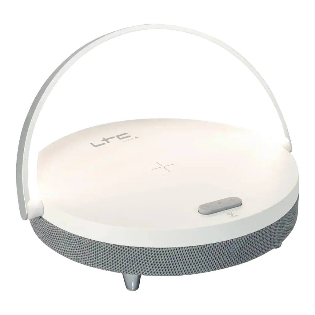 5W OPLYST BLUETOOTH-HØJTTALER + OPLADER OG HÅNDFRI SÆT