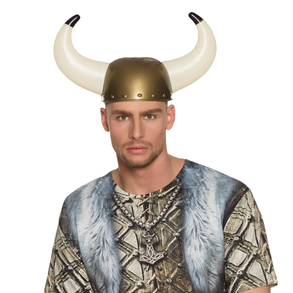 Vikingernes hjelm Gudrik