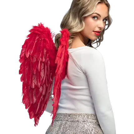 Englevinger Divine red 50x50cm