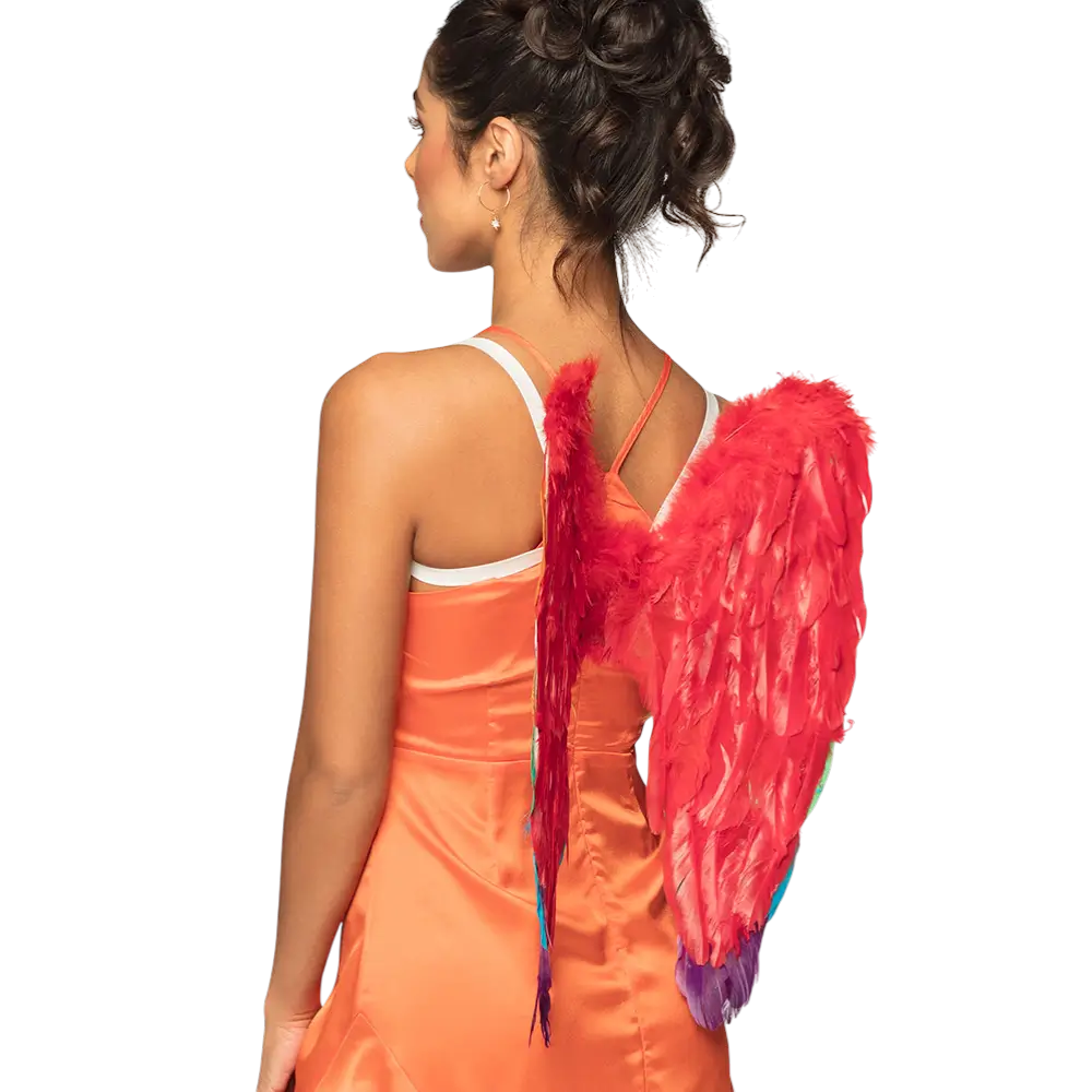 Englevinger Guddommelig regnbue 50x50cm