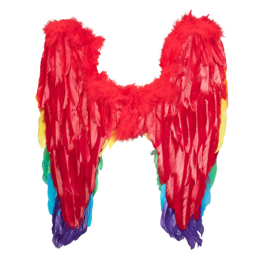 Englevinger Guddommelig regnbue 50x50cm