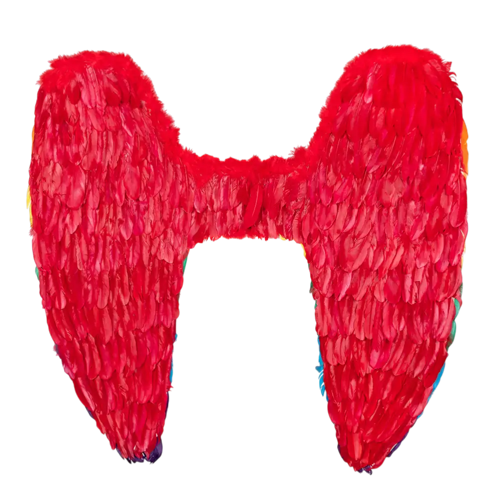 Englevinger Celina regnbue 120x120cm