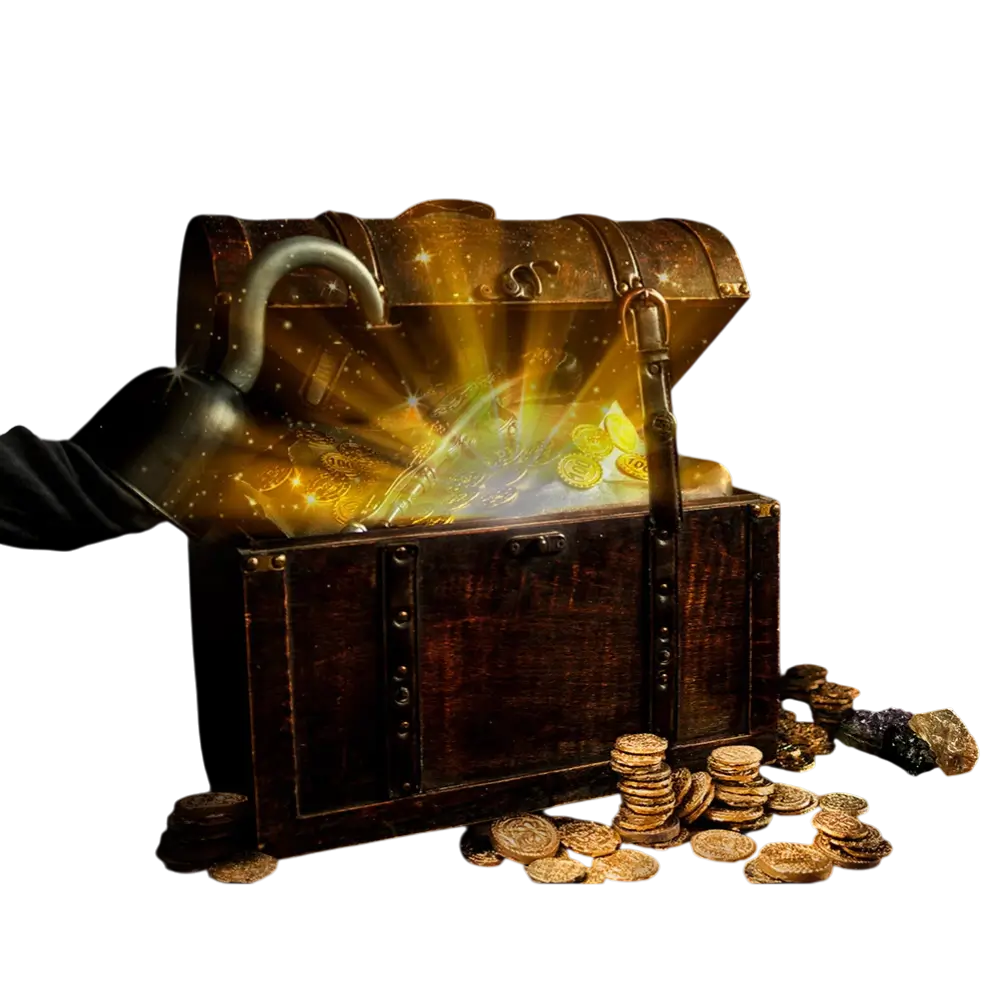 Piratlomme med 12 mønter