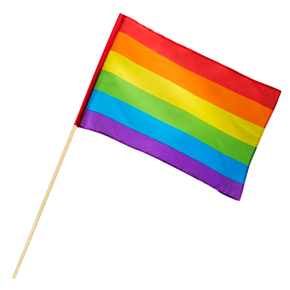 Regnbuefarvet håndflag i polyester