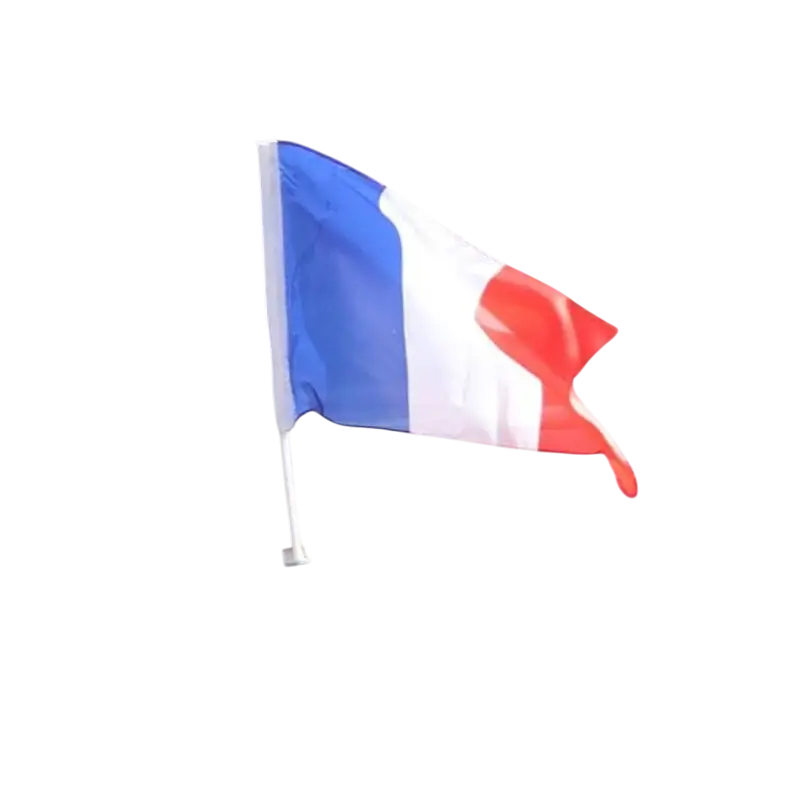 FRANCE polyester bilflag med stang 45 x 30 cm