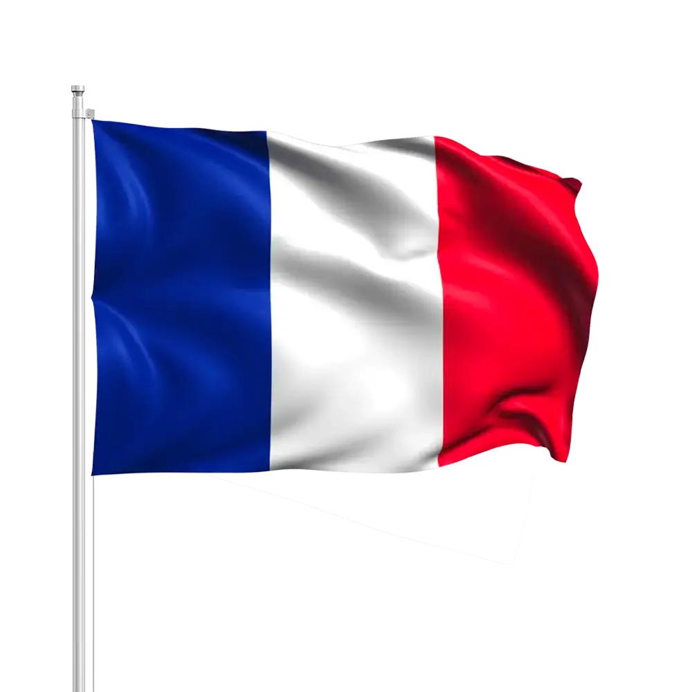 Frankrigs flag med baguette 14x21cm