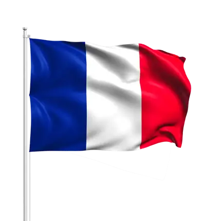 Frankrigs flag med baguette 14x21cm