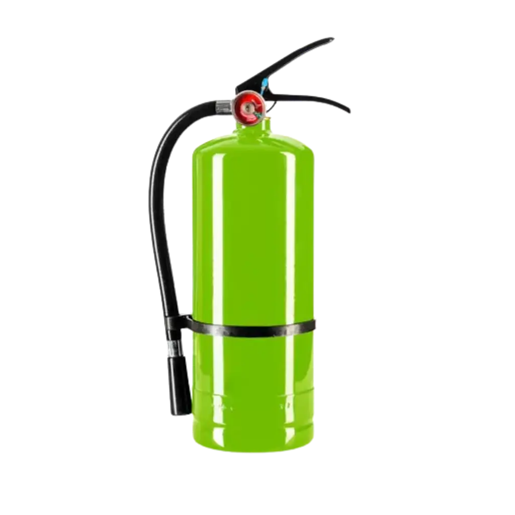 Holi-brandslukker med pulver – grøn – 5 kg