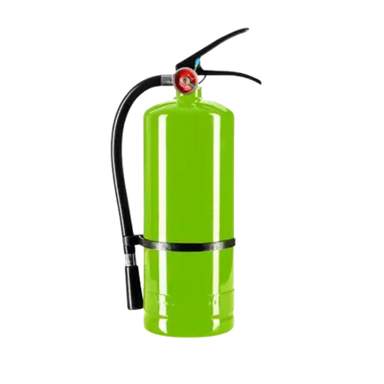 Holi-brandslukker med pulver – grøn – 5 kg