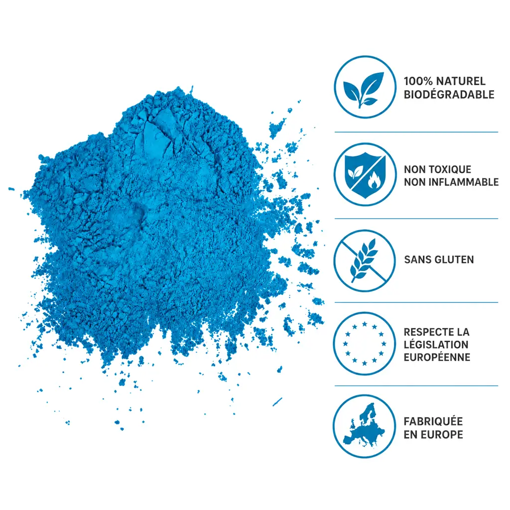 Holi-brandslukker med pulver – blå – 5 kg