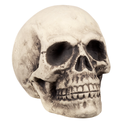 Kæmpe dødningehoved 27 x 27 x 38 cm – Halloween-dekoration