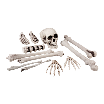 Sæt med 12 dødningehoveder og knogler, 23 cm – Halloween-dekoration