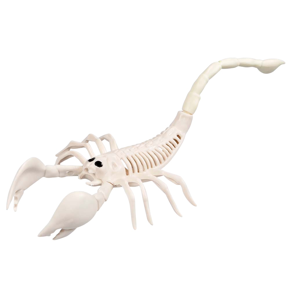 Skorpionskelet 33 x 14 x 8 cm – Halloween-dekoration