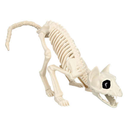 Katteskelet 49 x 18 x 14 cm – Halloween-pynt