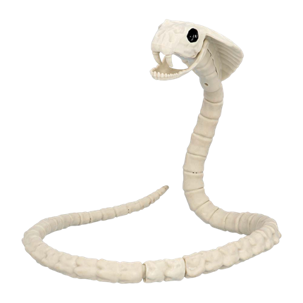 Slangeskelet 102 cm – Halloween-dekoration