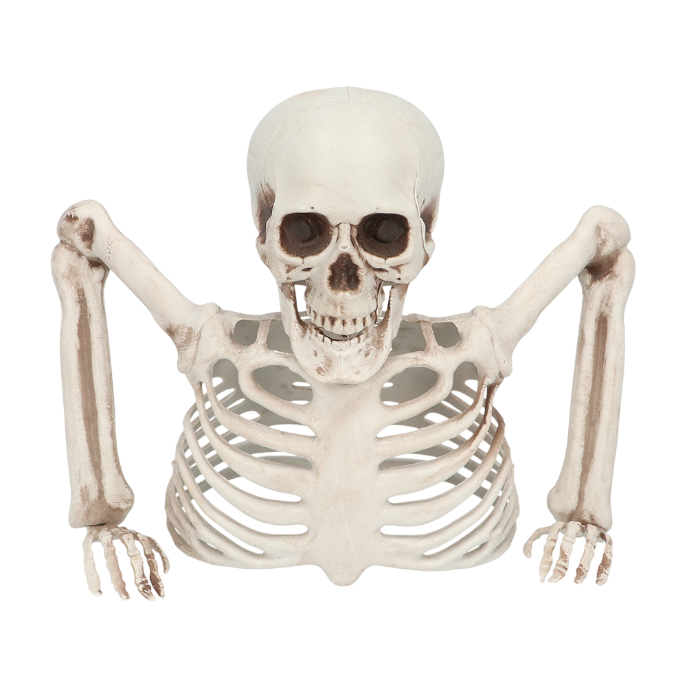 Skelet, der stikker op af jorden, 20 cm – Halloween-dekoration