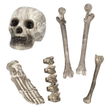 Sæt med 6 dødningehoveder og knogler – Halloween-pynt