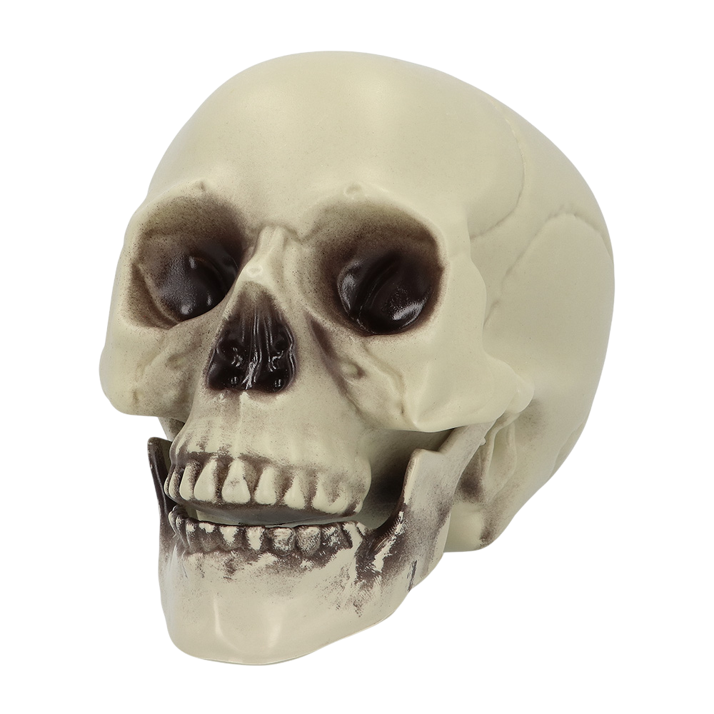 Dekorativ dødningehoved 15 x 20 x 16 cm – Halloween