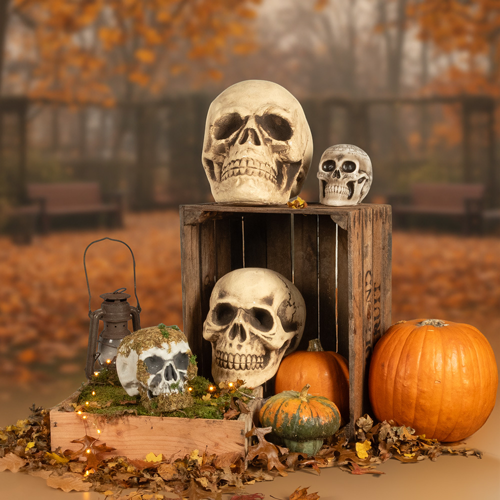 Dekorativ dødningehoved 15 x 20 x 16 cm – Halloween