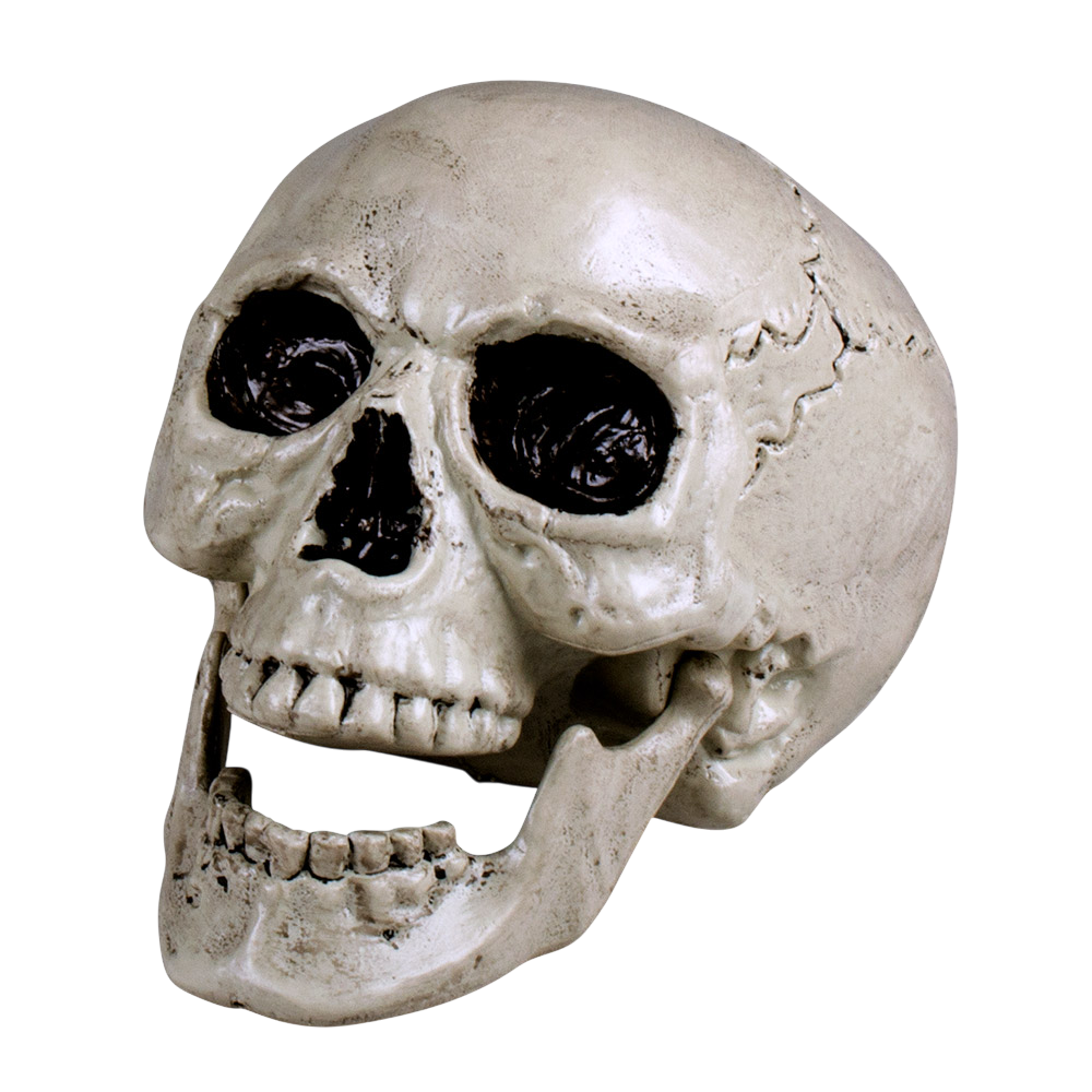 Hvid dødningehoved med bevægelig kæbe, 24 cm – Halloween-dekoration
