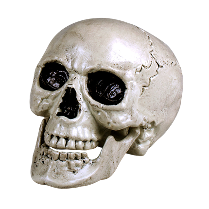 Hvid dødningehoved med bevægelig kæbe, 24 cm – Halloween-dekoration