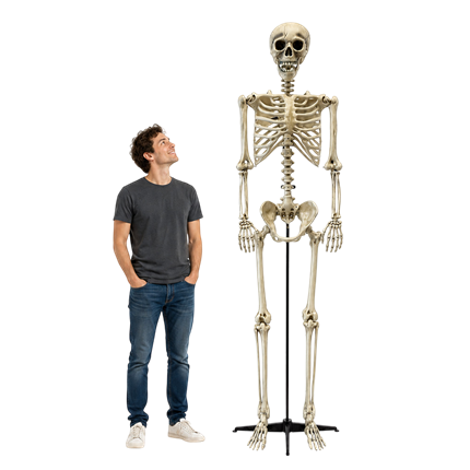 Kæmpe skelet, 240 cm – Halloween-dekoration