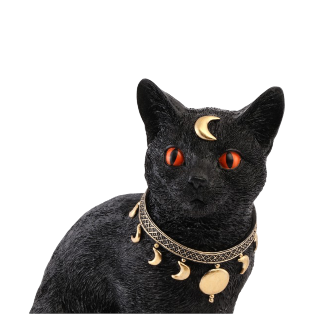 Mystisk sort kat, 28 cm – Halloween-pynt