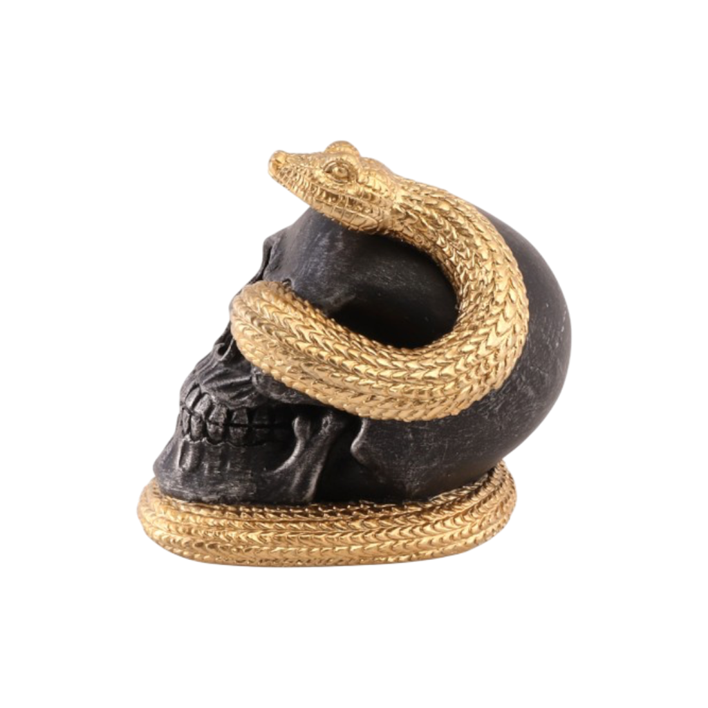 Kranie med gylden slange, 14,5 cm – Halloween-pynt
