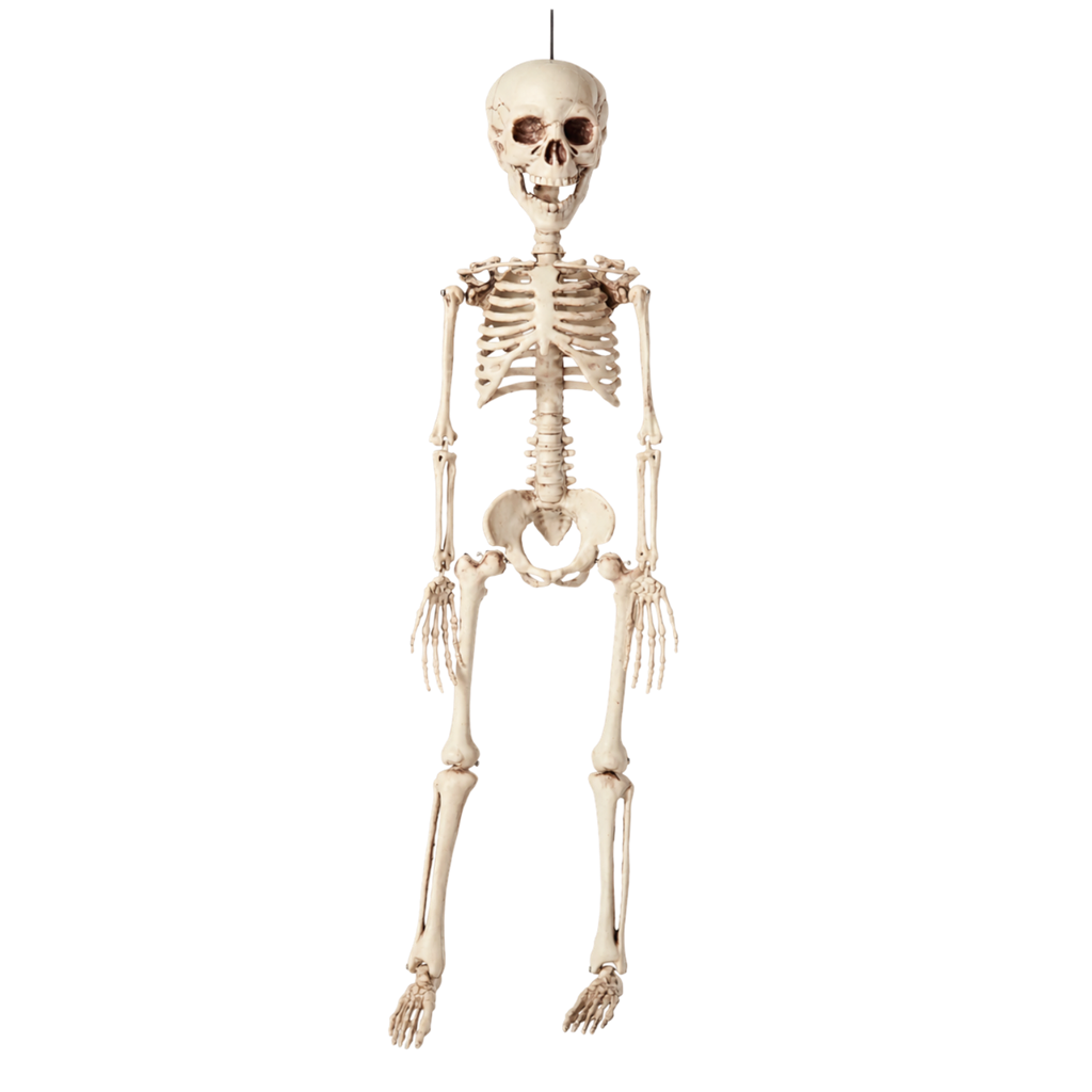 Hængende skelet, 40 cm – Halloween-dekoration