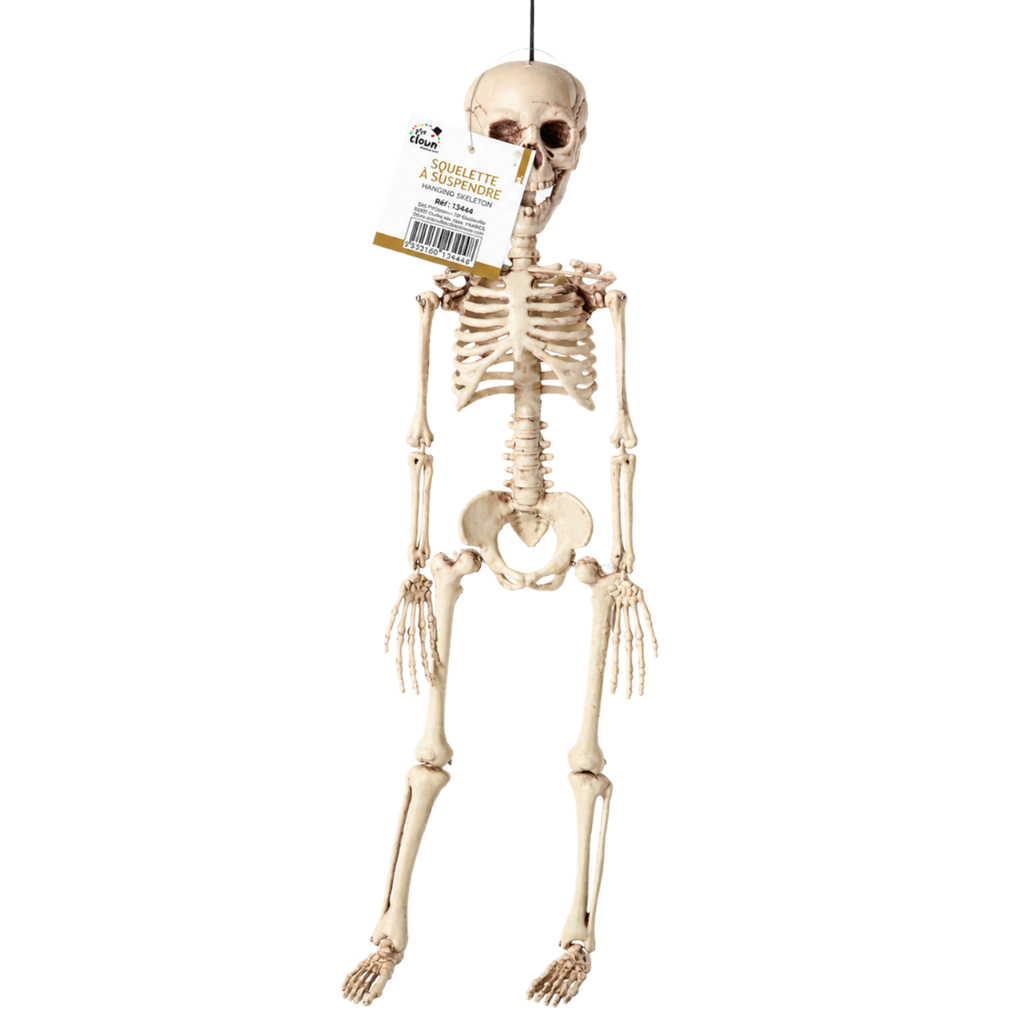 Hængende skelet, 40 cm – Halloween-dekoration