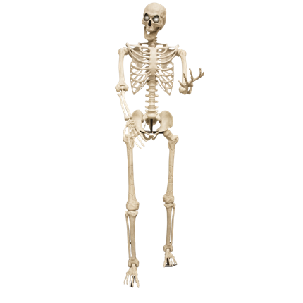 Kæmpe lysende skelet, 3,18 m – XXL-halloweenpynt